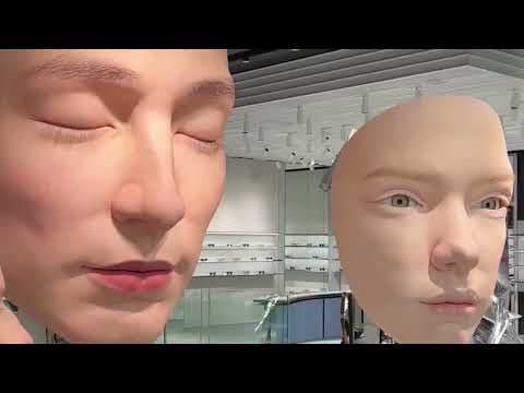 2026年最強AI工具Top10（新手完全指南）