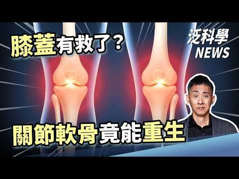 厲害！能高效淡化海水的黑金屬！章魚會用後照鏡了！【泛科學NEWS EP64】