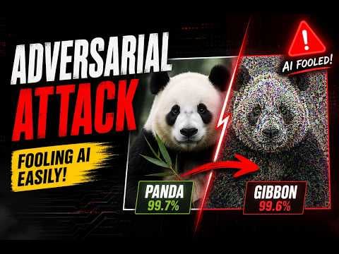 Adversarial Attack