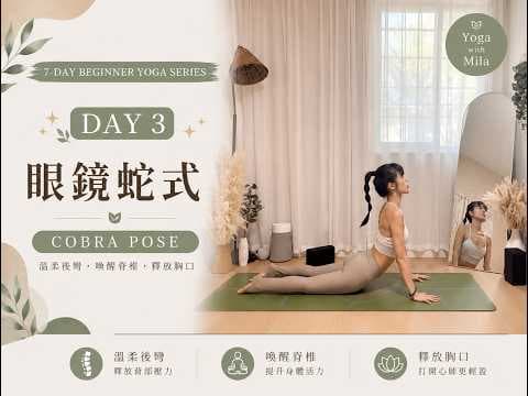 Day 3 初學者瑜珈|眼鏡蛇式 Cobra Pose|7天初學者瑜珈系列 Beginner Yoga for Backbend & Chest Opening
